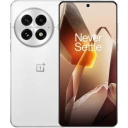OnePlus 13 24/1024 Arctic Dawn (Белый) - вид 1